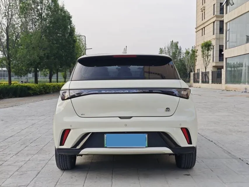 2021 BYD Yuan Pro BEV 50.1KWH,autocango,china used car exporter,china ev exporter,chinese used car exporter,chinese used ev exporter