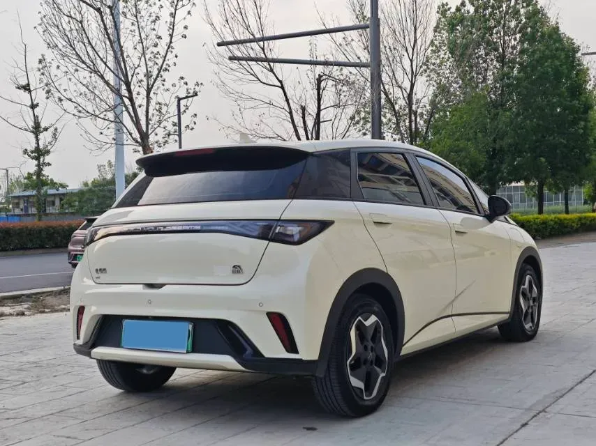 2021 BYD Yuan Pro BEV 50.1KWH,autocango,china used car exporter,china ev exporter,chinese used car exporter,chinese used ev exporter