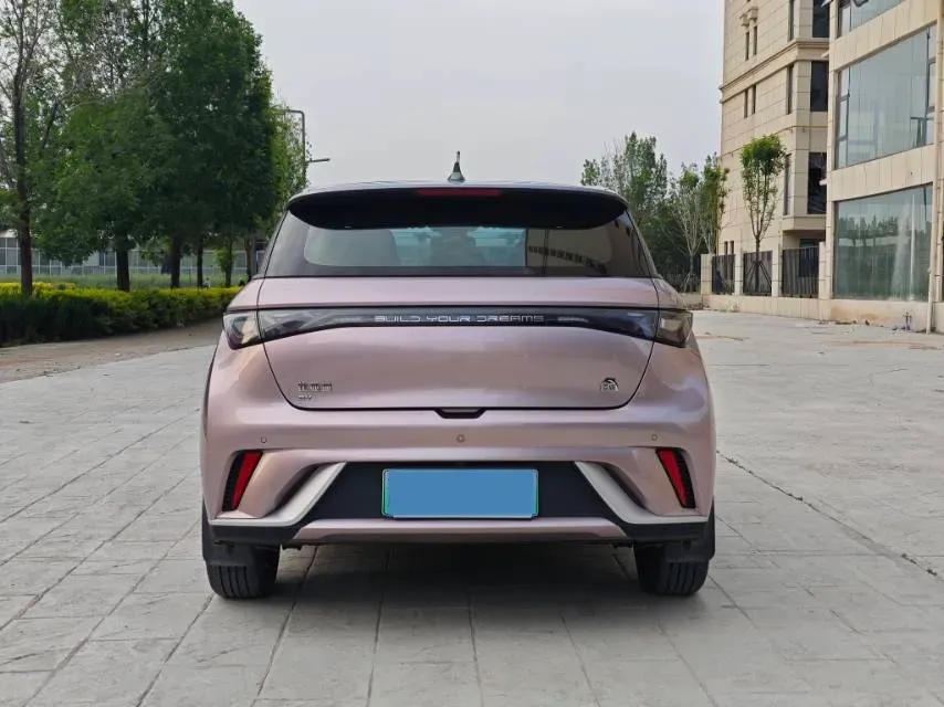 2021 BYD Yuan Pro BEV 50.1KWH,autocango,china used car exporter,china ev exporter,chinese used car exporter,chinese used ev exporter