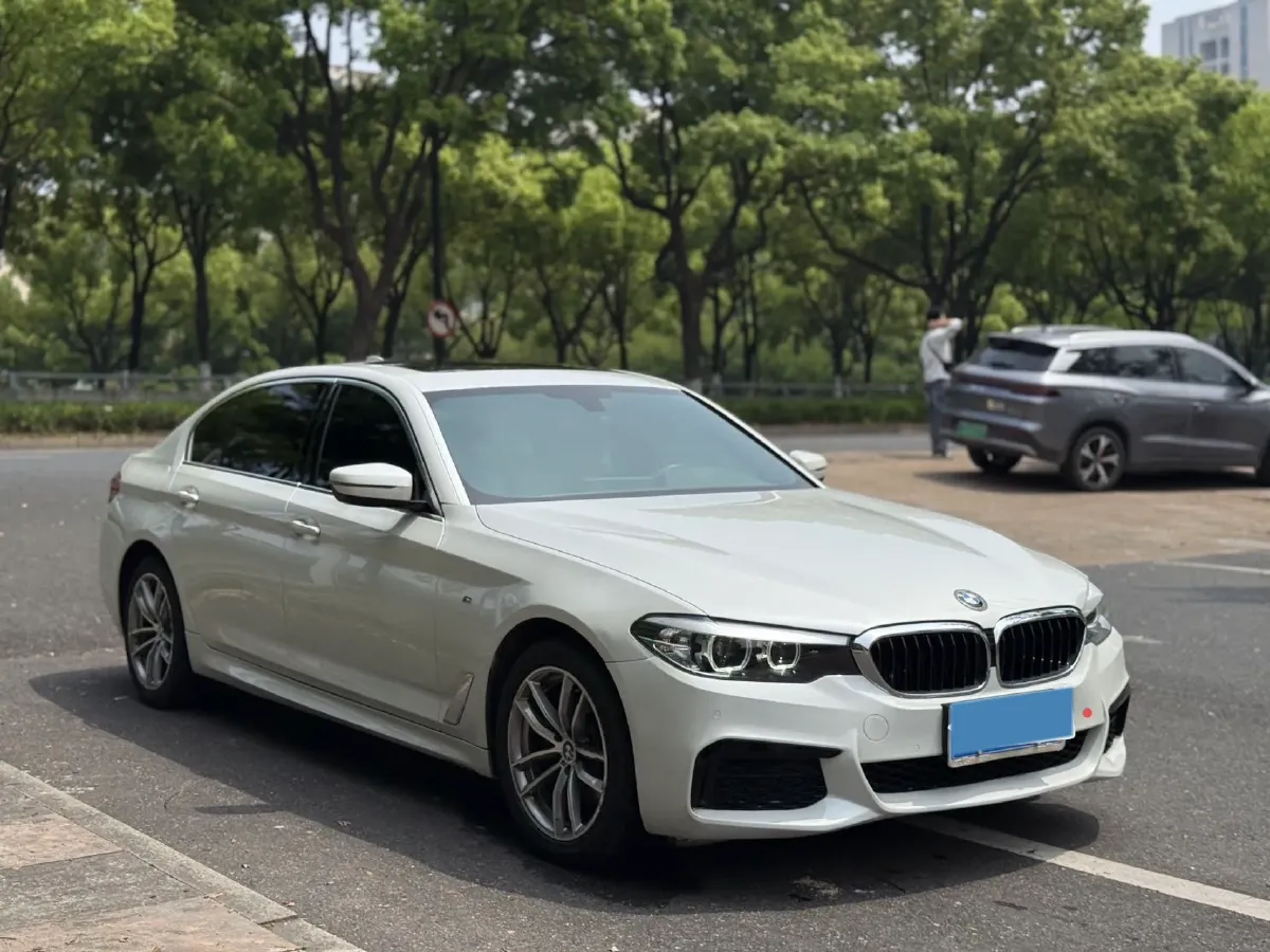 2020 BMW 5 Series 2.0T 184HP L4 8AT,autocango,china used car exporter,china ev exporter,chinese used car exporter,chinese used ev exporter