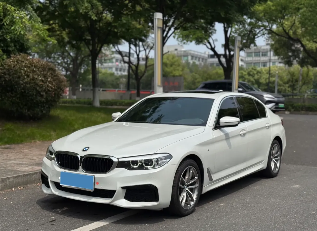 2020 BMW 5 Series 2.0T 184HP L4 8AT,autocango,china used car exporter,china ev exporter,chinese used car exporter,chinese used ev exporter