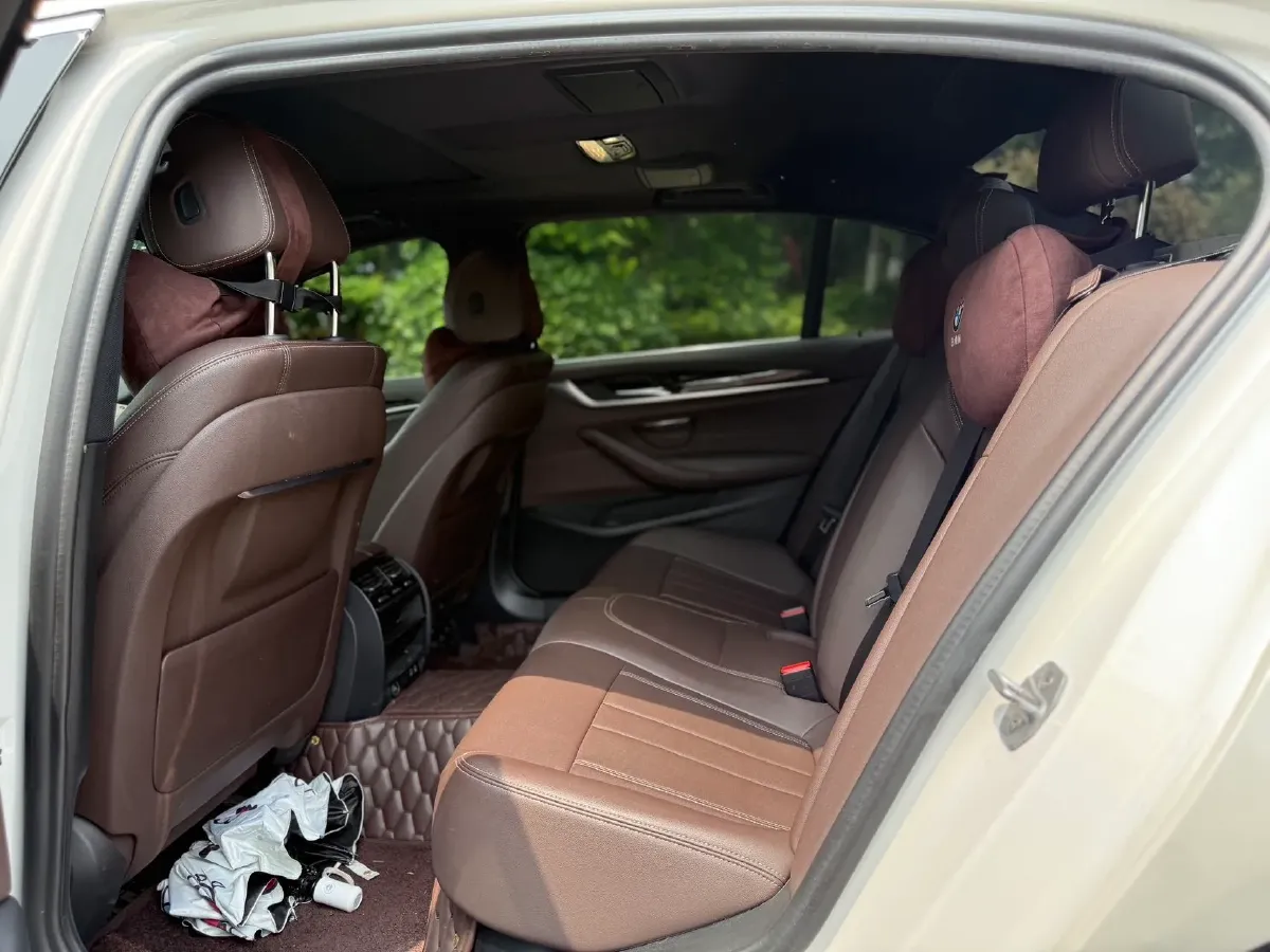 2020 BMW 5 Series 2.0T 184HP L4 8AT,autocango,china used car exporter,china ev exporter,chinese used car exporter,chinese used ev exporter