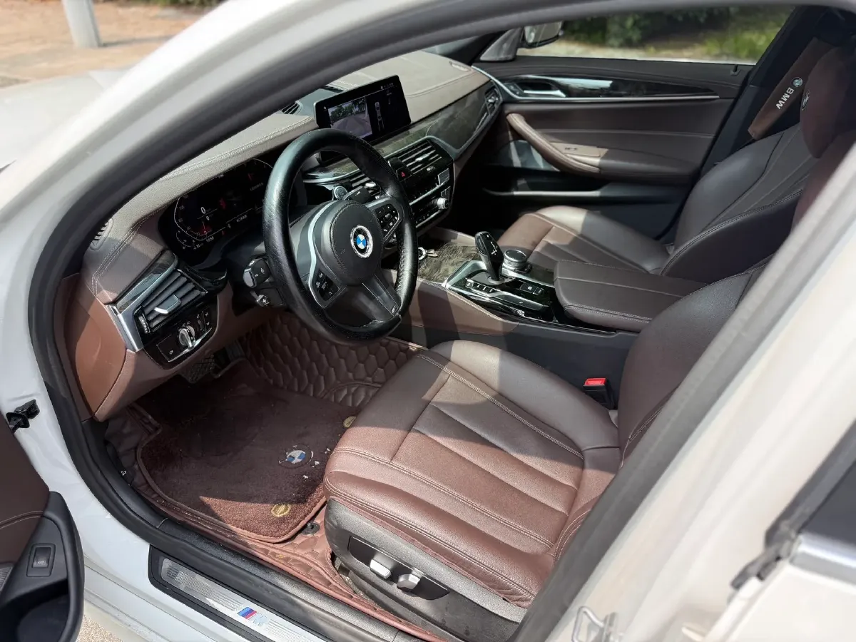 2020 BMW 5 Series 2.0T 184HP L4 8AT,autocango,china used car exporter,china ev exporter,chinese used car exporter,chinese used ev exporter