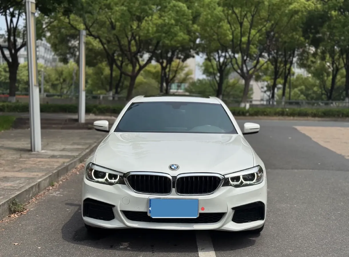 2020 BMW 5 Series 2.0T 184HP L4 8AT,autocango,china used car exporter,china ev exporter,chinese used car exporter,chinese used ev exporter