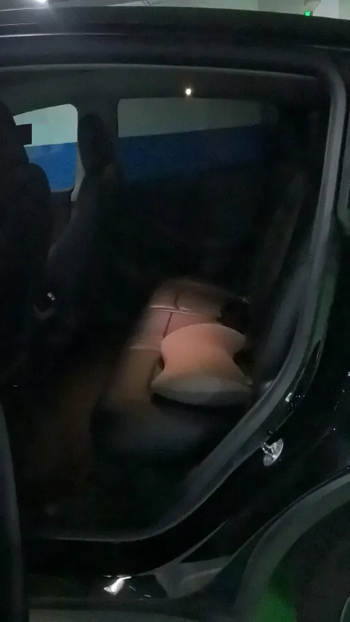 2021 MINI COUNTRYMAN 1.5T 136HP L3 8AT,autocango,china used car exporter,china ev exporter,chinese used car exporter,chinese used ev exporter