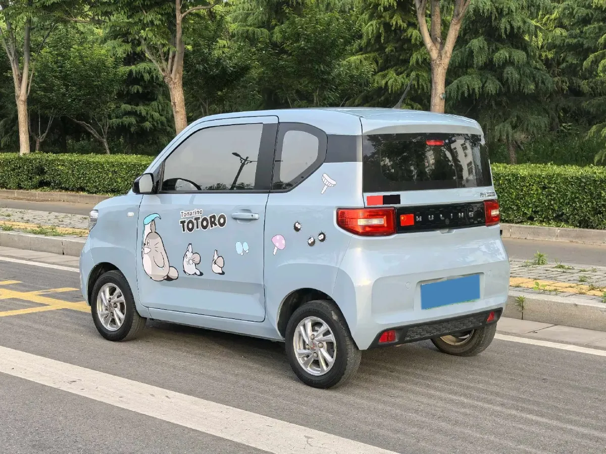 2020 WuLing HongGuang MINI EV BEV 13.8KWH,autocango,china used car exporter,china ev exporter,chinese used car exporter,chinese used ev exporter