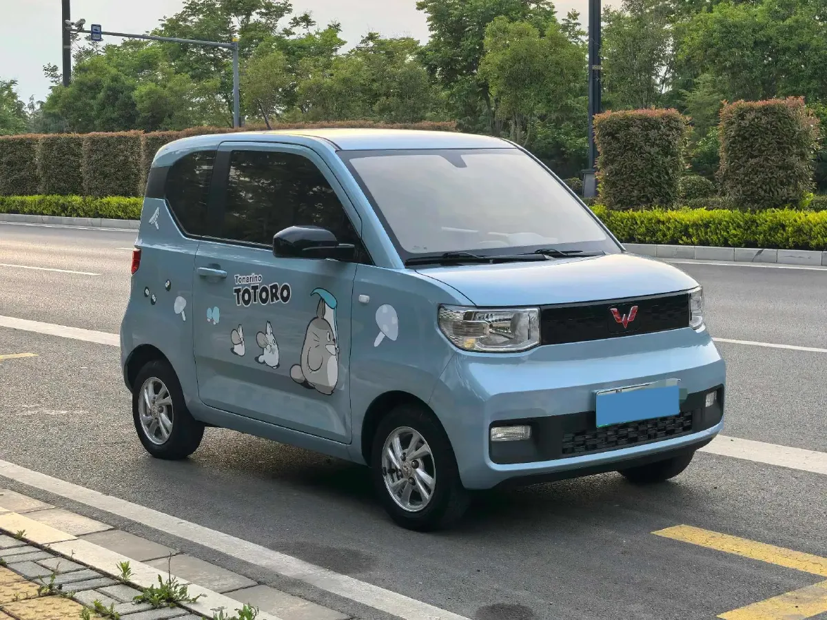 2020 WuLing HongGuang MINI EV BEV 13.8KWH,autocango,china used car exporter,china ev exporter,chinese used car exporter,chinese used ev exporter