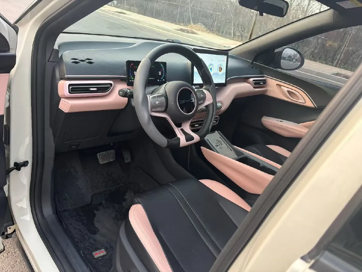 2024 BYD Seagull BEV 38.88KWH,autocango,china used car exporter,china ev exporter,chinese used car exporter,chinese used ev exporter