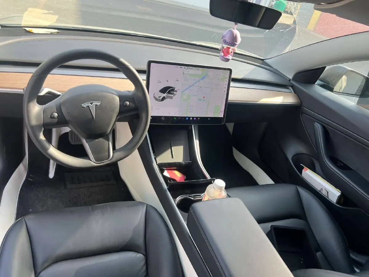 2020 Tesla Model 3 BEV 52KWH,autocango,china used car exporter,china ev exporter,chinese used car exporter,chinese used ev exporter