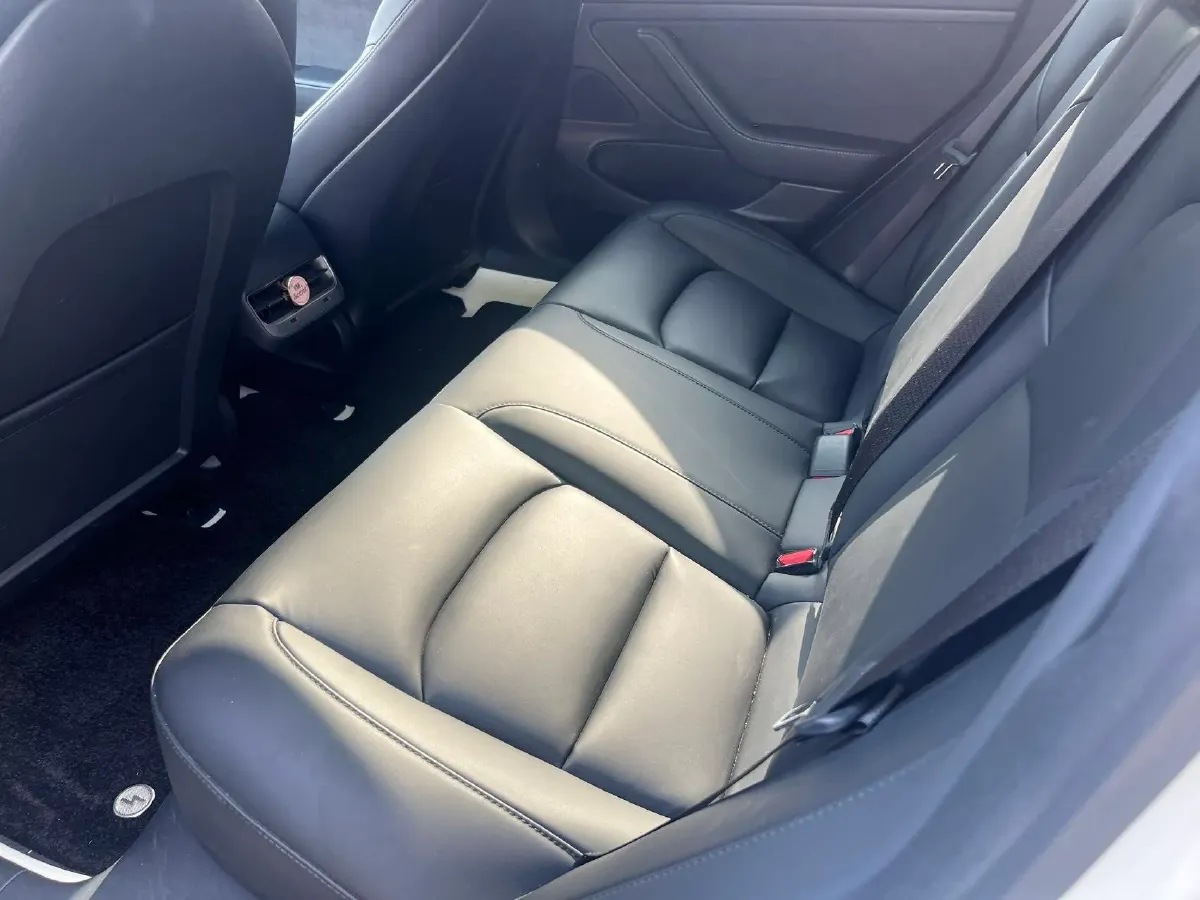 2020 Tesla Model 3 BEV 52KWH,autocango,china used car exporter,china ev exporter,chinese used car exporter,chinese used ev exporter