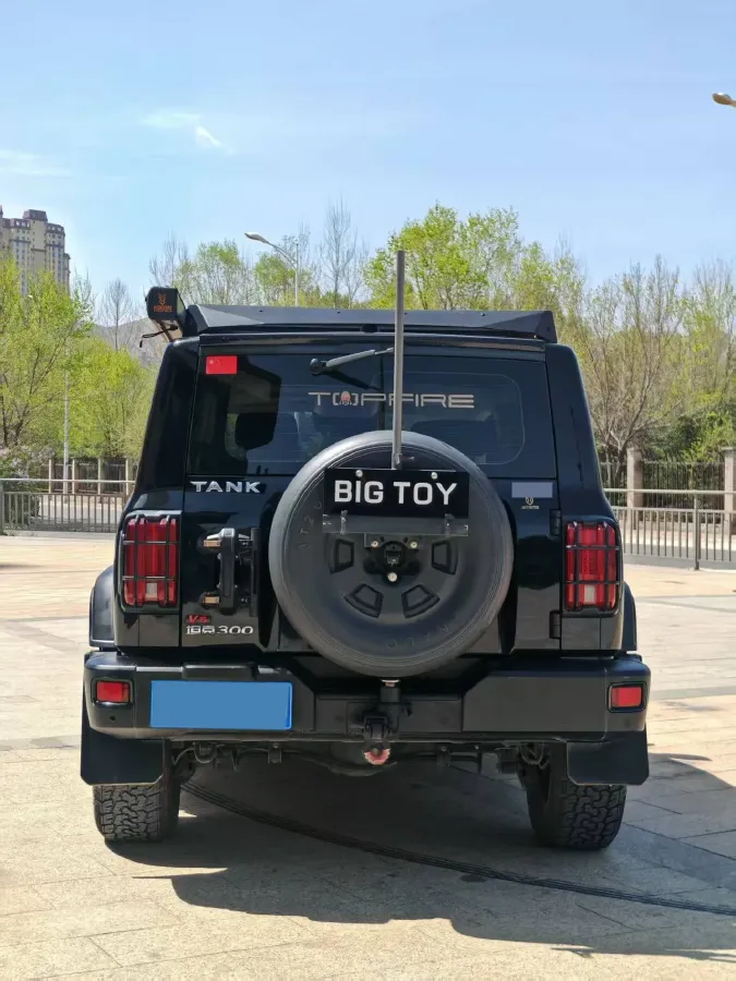 2021 Tank 300 2.0T 227HP L4 8AT,autocango,china used car exporter,china ev exporter,chinese used car exporter,chinese used ev exporter