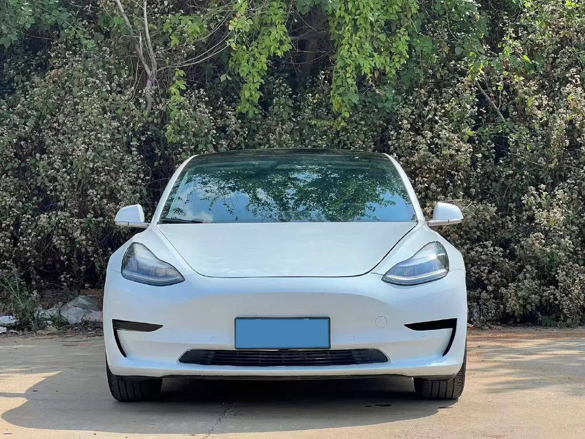 2020 Tesla Model 3 BEV 52KWH,autocango,china used car exporter,china ev exporter,chinese used car exporter,chinese used ev exporter