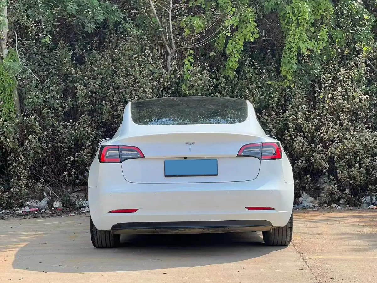 2020 Tesla Model 3 BEV 52KWH,autocango,china used car exporter,china ev exporter,chinese used car exporter,chinese used ev exporter