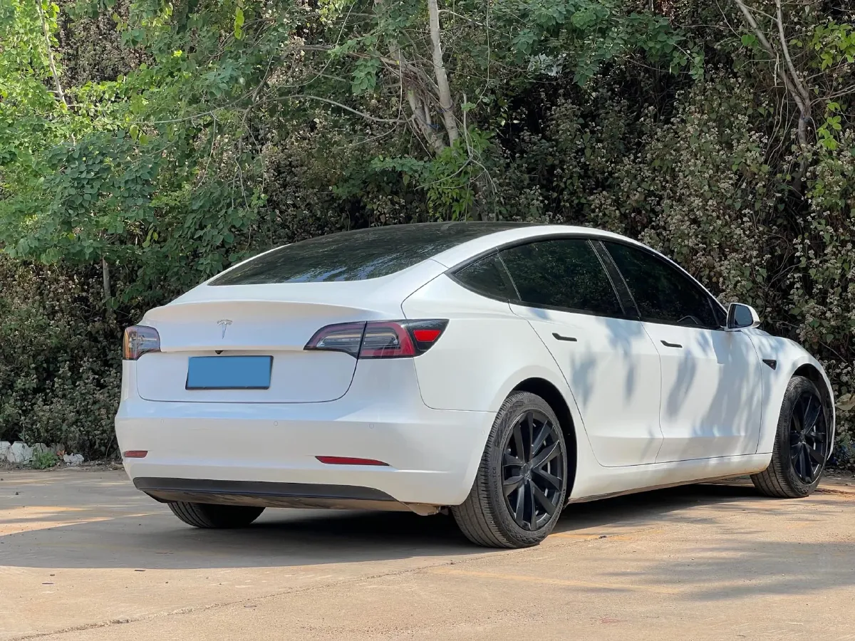 2020 Tesla Model 3 BEV 52KWH,autocango,china used car exporter,china ev exporter,chinese used car exporter,chinese used ev exporter