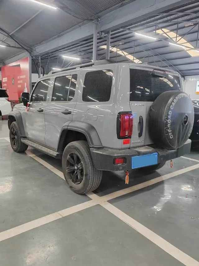 2021 Tank 300 2.0T 227HP L4 8AT,autocango,china used car exporter,china ev exporter,chinese used car exporter,chinese used ev exporter