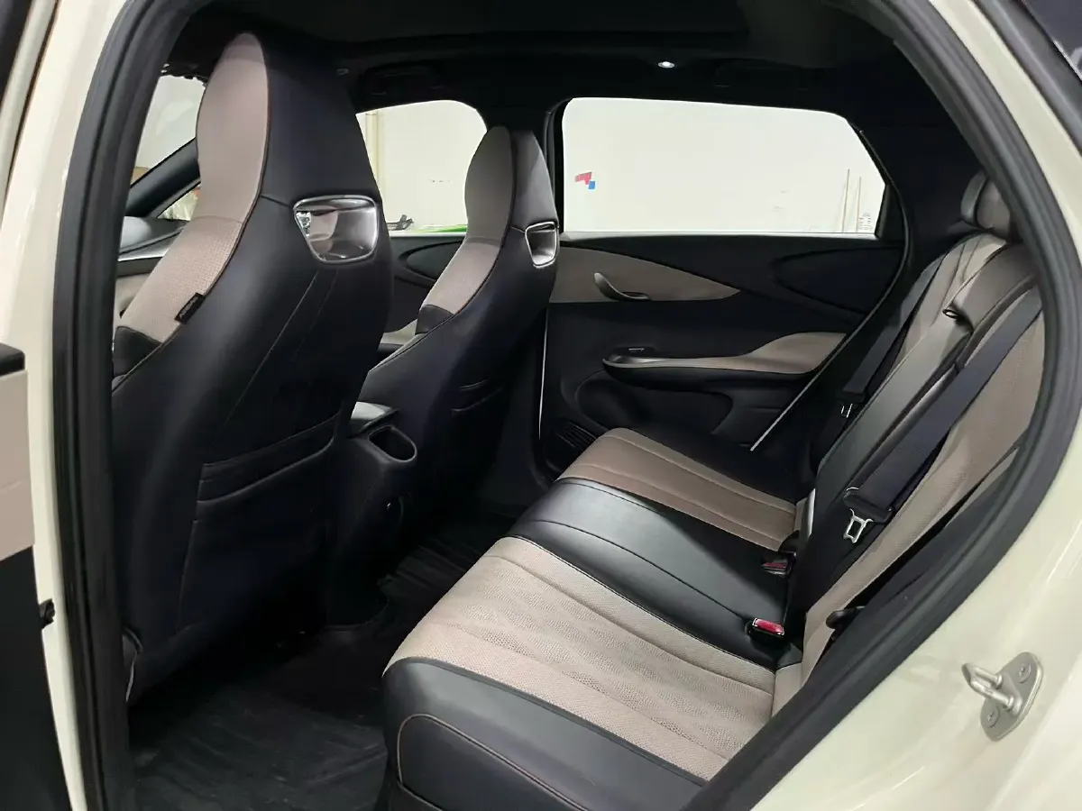 2023 BYD Dolphin BEV 44.928KWH,autocango,china used car exporter,china ev exporter,chinese used car exporter,chinese used ev exporter