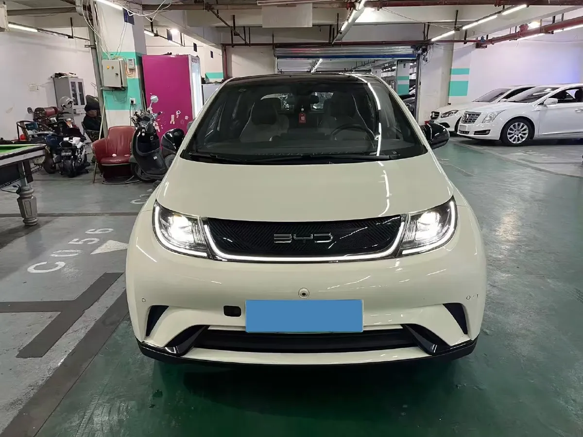 2023 BYD Dolphin BEV 44.928KWH,autocango,china used car exporter,china ev exporter,chinese used car exporter,chinese used ev exporter
