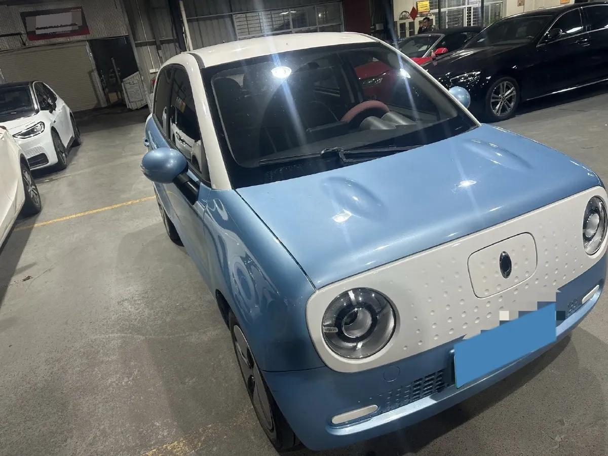 2019 Ora BlackCat BEV 28.5KWH,autocango,china used car exporter,china ev exporter,chinese used car exporter,chinese used ev exporter