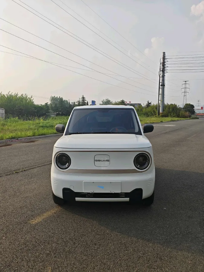 2023 Geely Galaxy Panda BEV 17.03KWH,autocango,china used car exporter,china ev exporter,chinese used car exporter,chinese used ev exporter