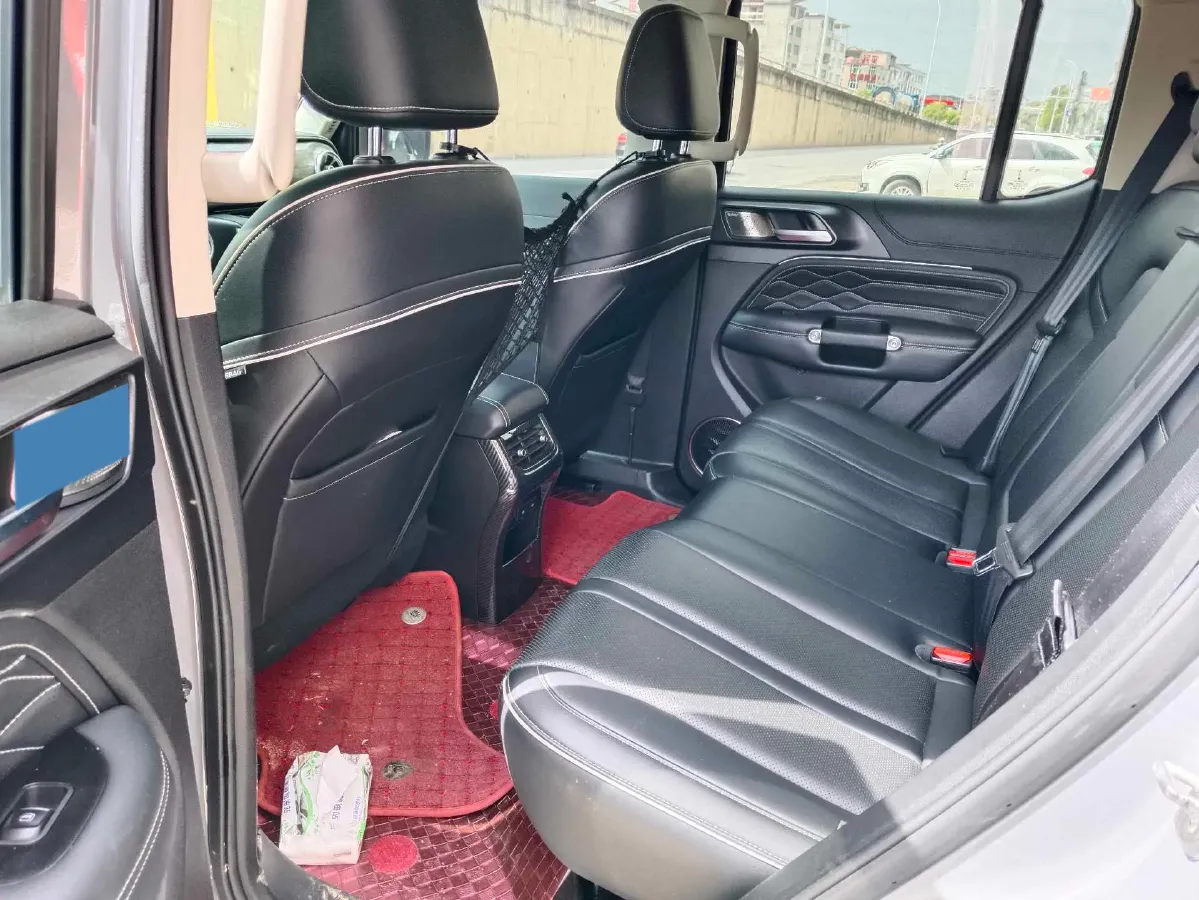 2021 Tank 300 2.0T 227HP L4 8AT,autocango,china used car exporter,china ev exporter,chinese used car exporter,chinese used ev exporter