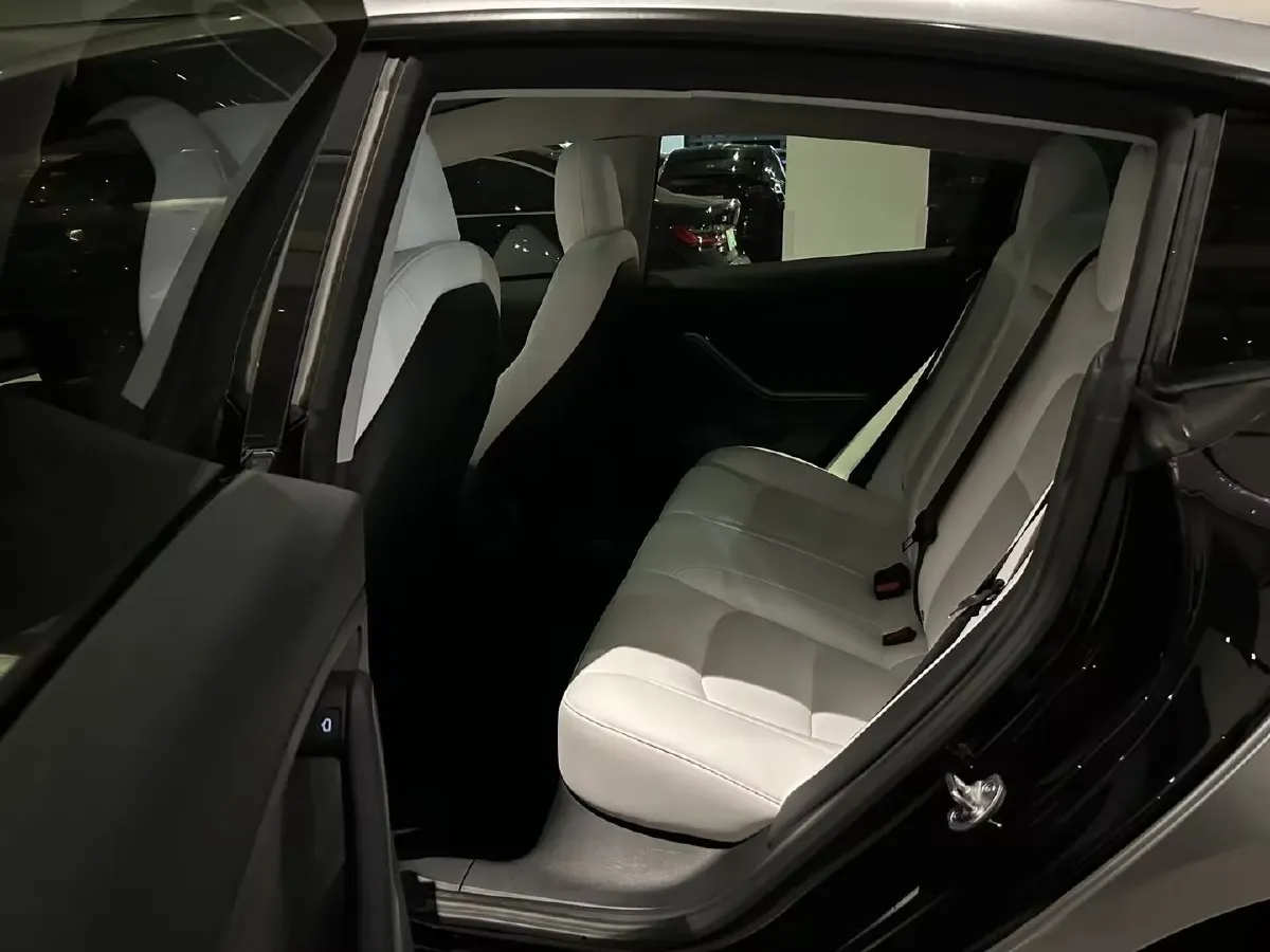 2021 Tesla Model 3 BEV 76.8KWH,autocango,china used car exporter,china ev exporter,chinese used car exporter,chinese used ev exporter