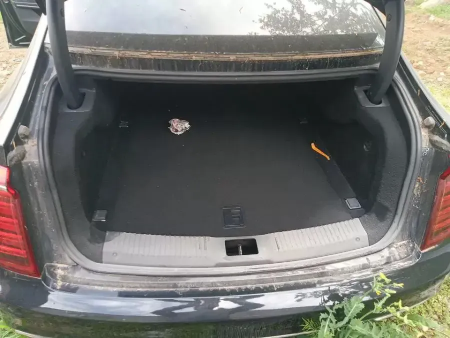 2020 HongQi H9 2.0T 252HP L4 7DCT,autocango,china used car exporter,china ev exporter,chinese used car exporter,chinese used ev exporter