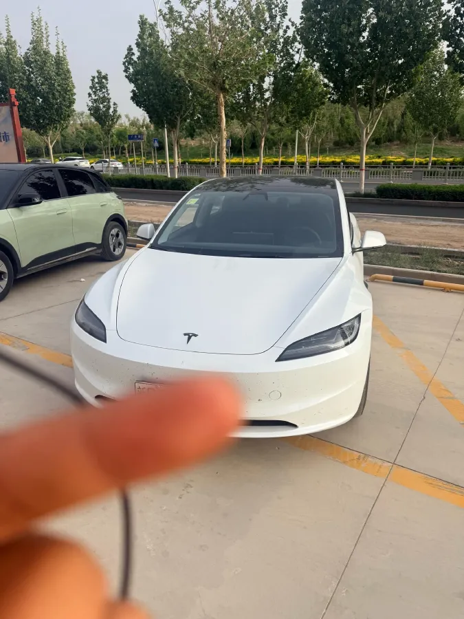 2025 Tesla Model 3 BEV,autocango,china used car exporter,china ev exporter,chinese used car exporter,chinese used ev exporter