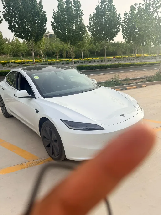 2025 Tesla Model 3 BEV,autocango,china used car exporter,china ev exporter,chinese used car exporter,chinese used ev exporter