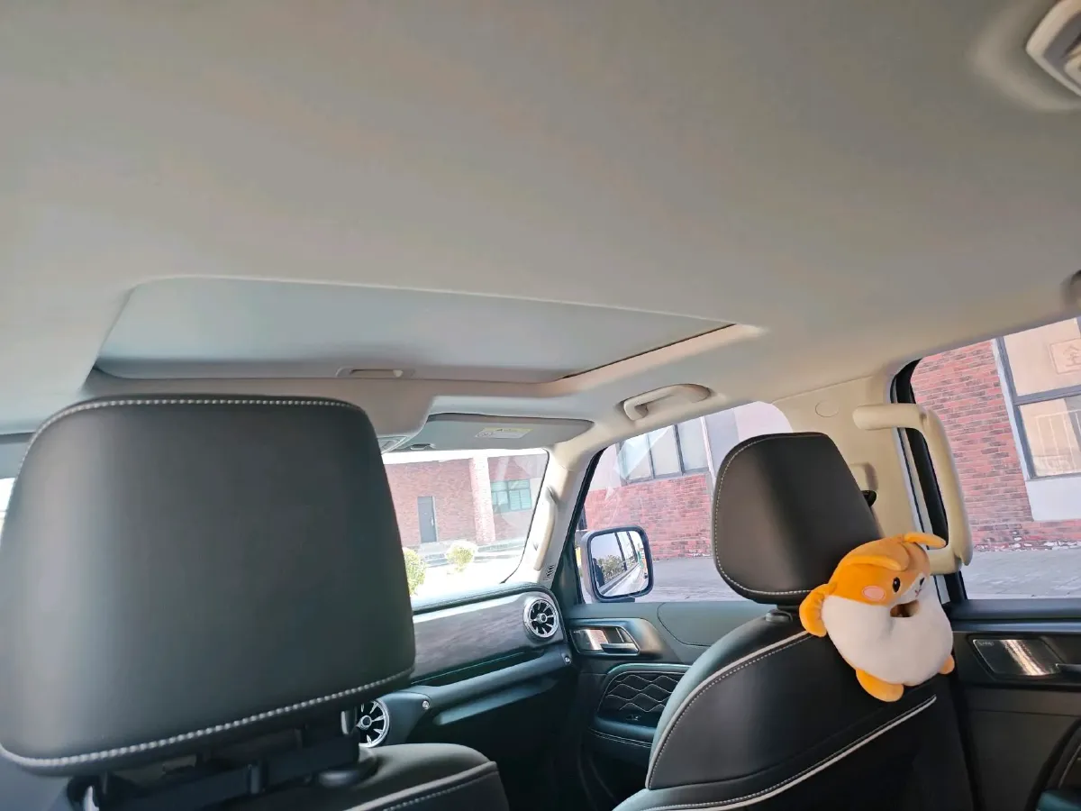 2024 Tank 300 2.0T 227HP L4 8AT,autocango,china used car exporter,china ev exporter,chinese used car exporter,chinese used ev exporter