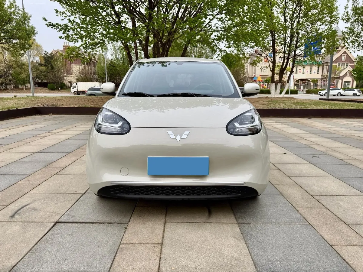 2023 WuLing BinGuo BEV 31.9KWH,autocango,china used car exporter,china ev exporter,chinese used car exporter,chinese used ev exporter