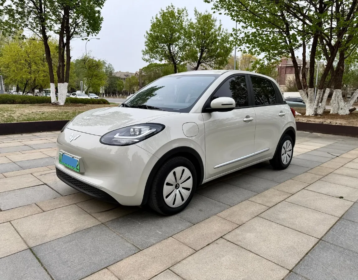 2023 WuLing BinGuo BEV 31.9KWH,autocango,china used car exporter,china ev exporter,chinese used car exporter,chinese used ev exporter