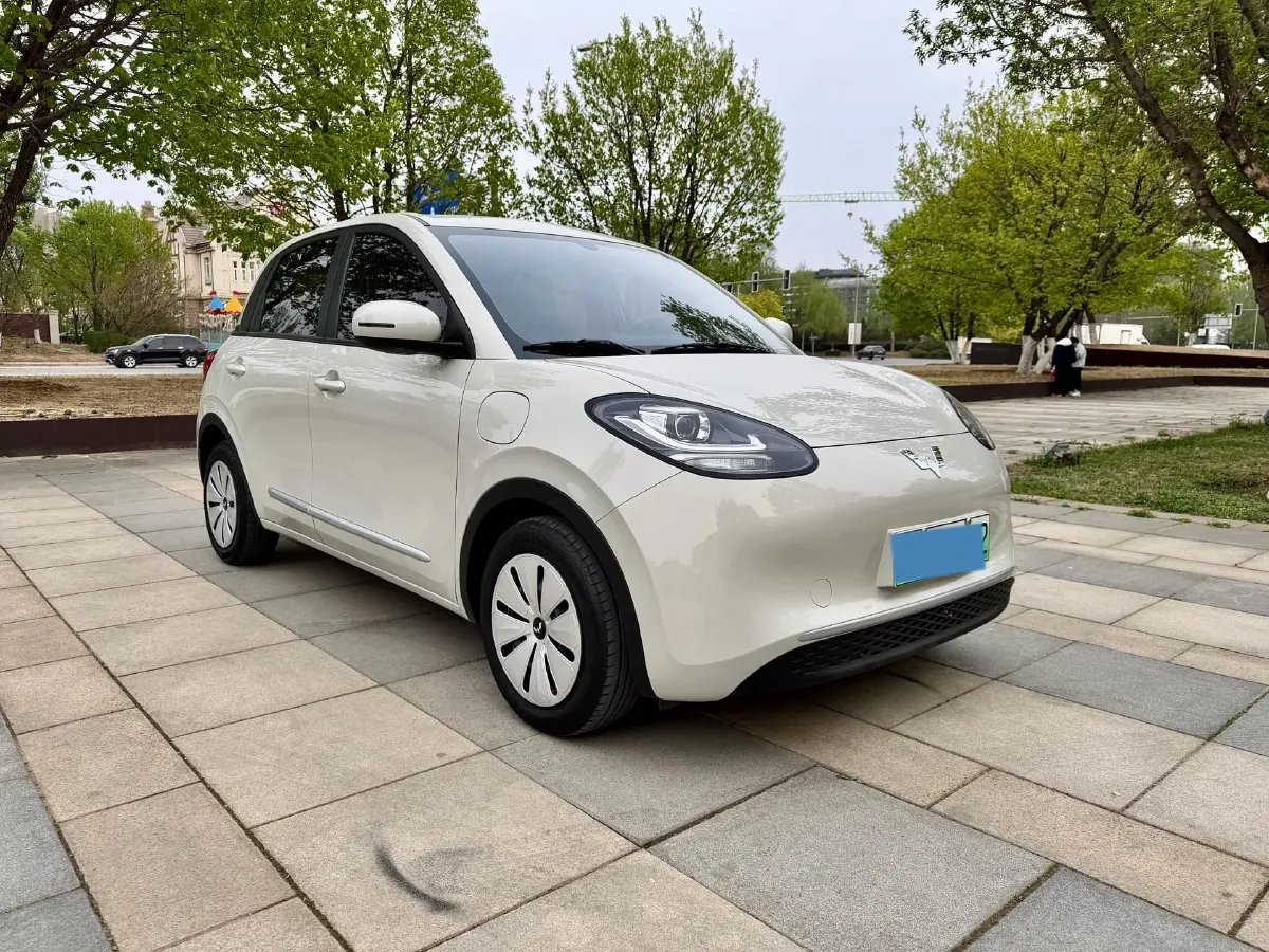 2023 WuLing BinGuo BEV 31.9KWH,autocango,china used car exporter,china ev exporter,chinese used car exporter,chinese used ev exporter