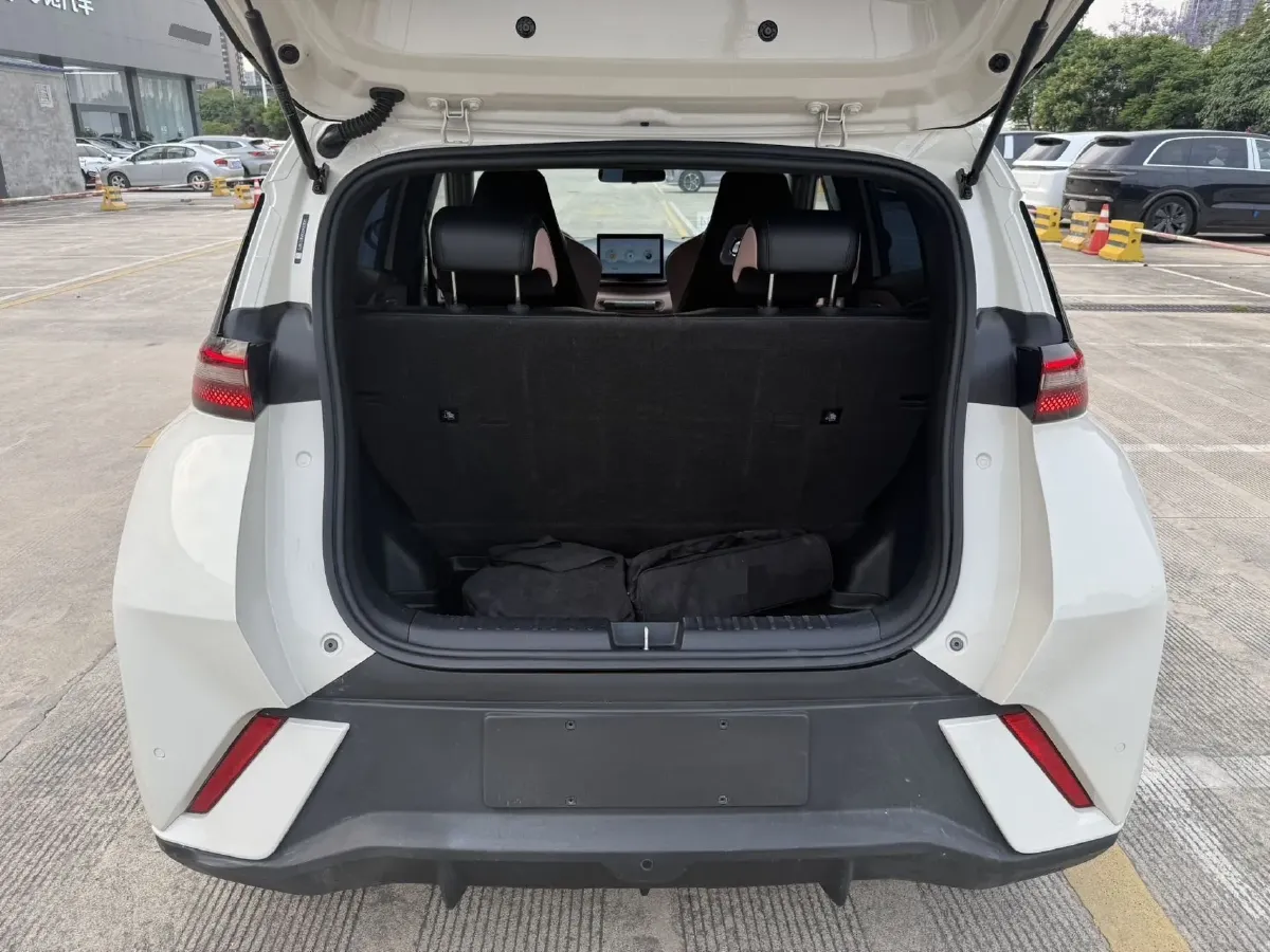 2023 BYD Seagull BEV 30.08KWH,autocango,china used car exporter,china ev exporter,chinese used car exporter,chinese used ev exporter