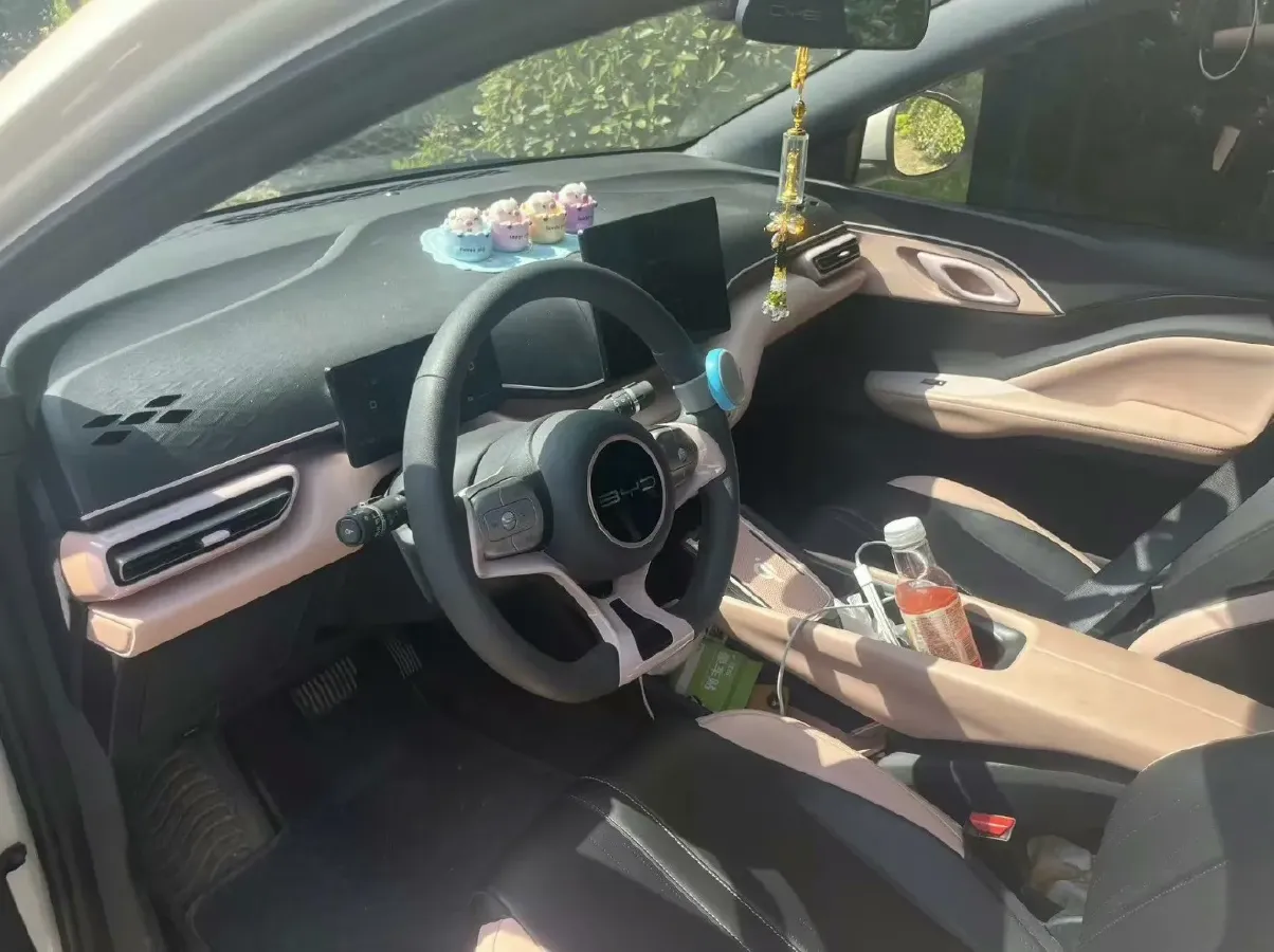 2024 BYD Seagull BEV 30.08KWH,autocango,china used car exporter,china ev exporter,chinese used car exporter,chinese used ev exporter