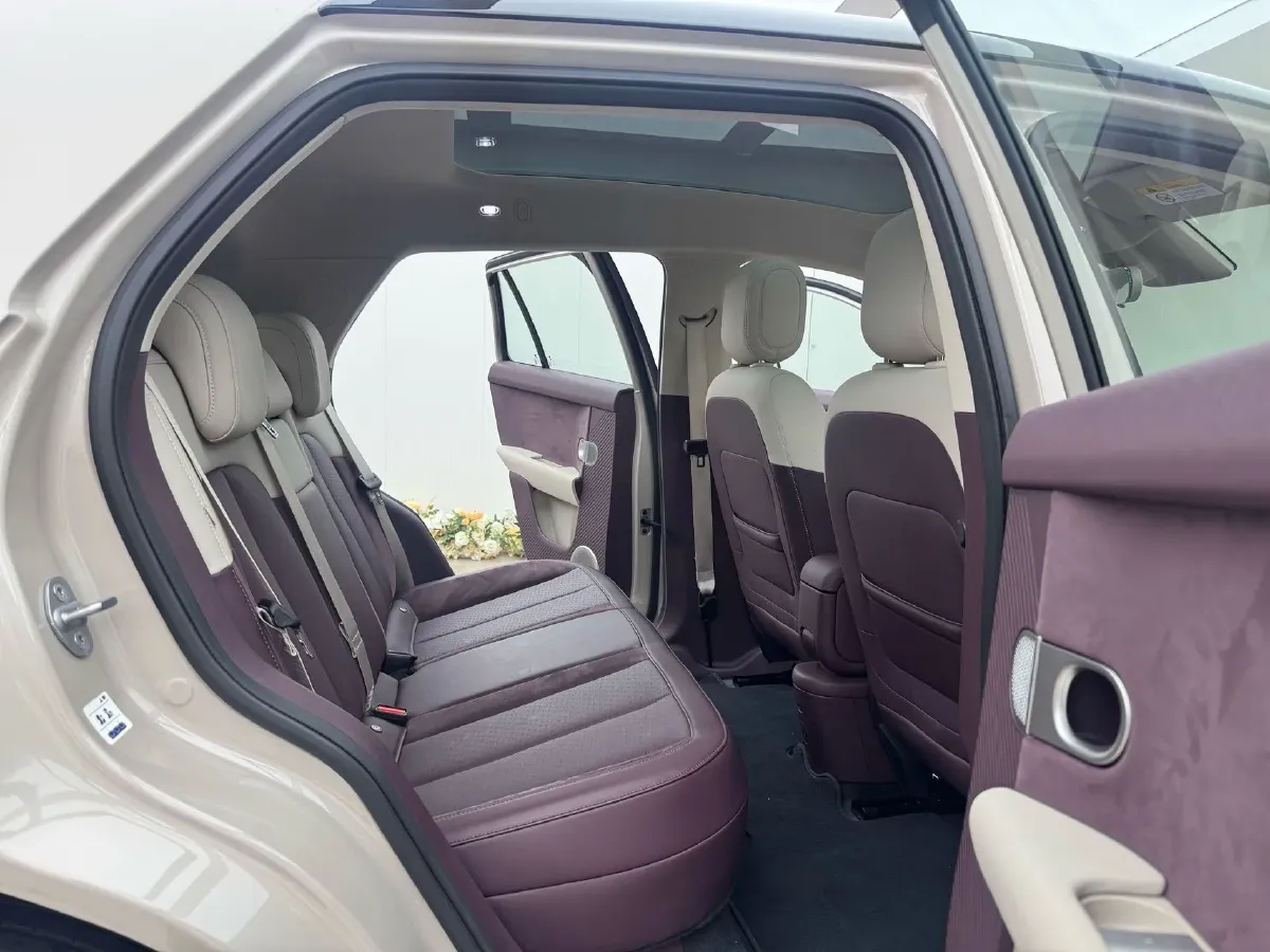 2025 Firefly Firefly BEV,autocango,china used car exporter,china ev exporter,chinese used car exporter,chinese used ev exporter