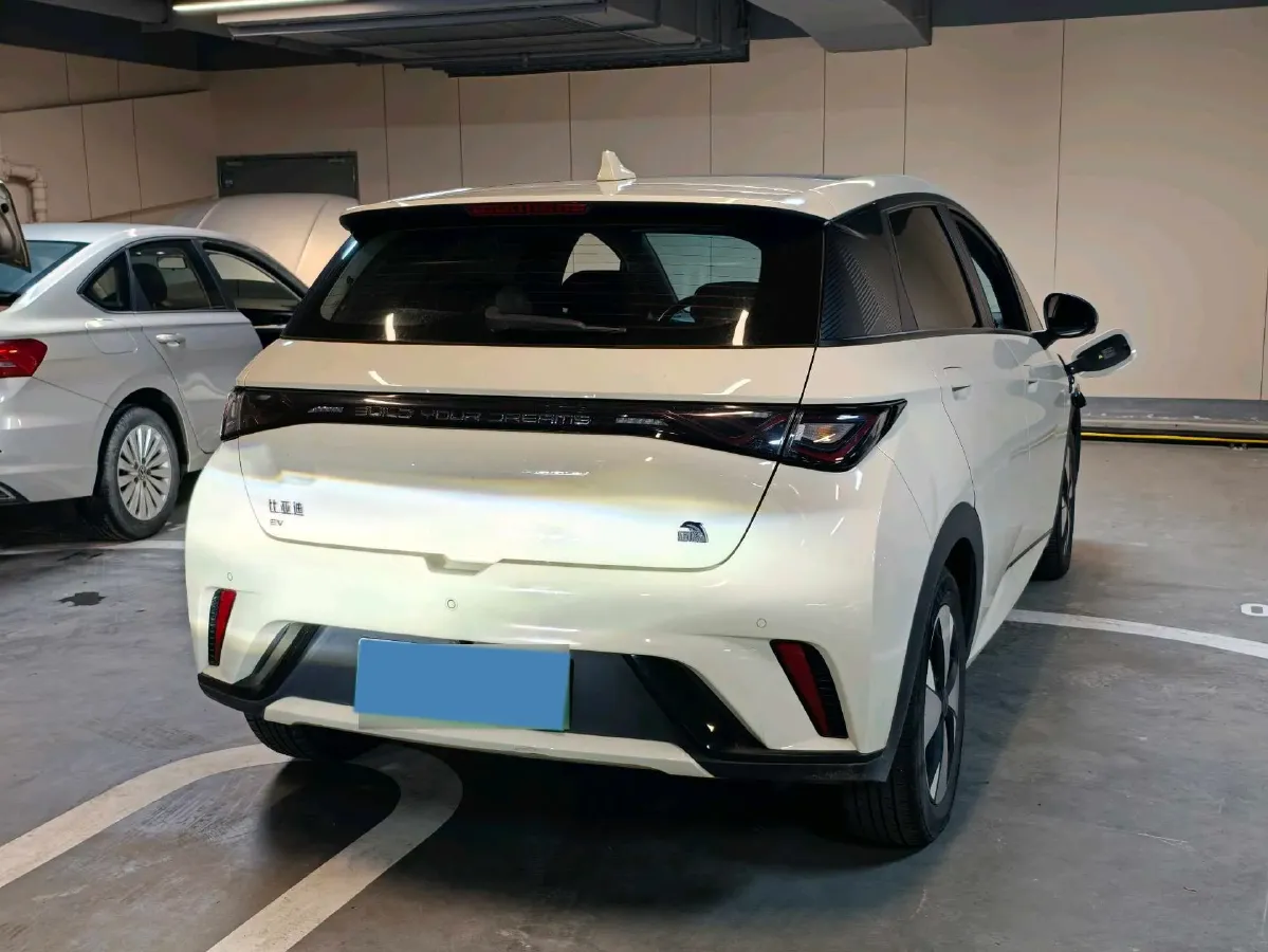 2023 BYD Dolphin BEV 44.928KWH,autocango,china used car exporter,china ev exporter,chinese used car exporter,chinese used ev exporter