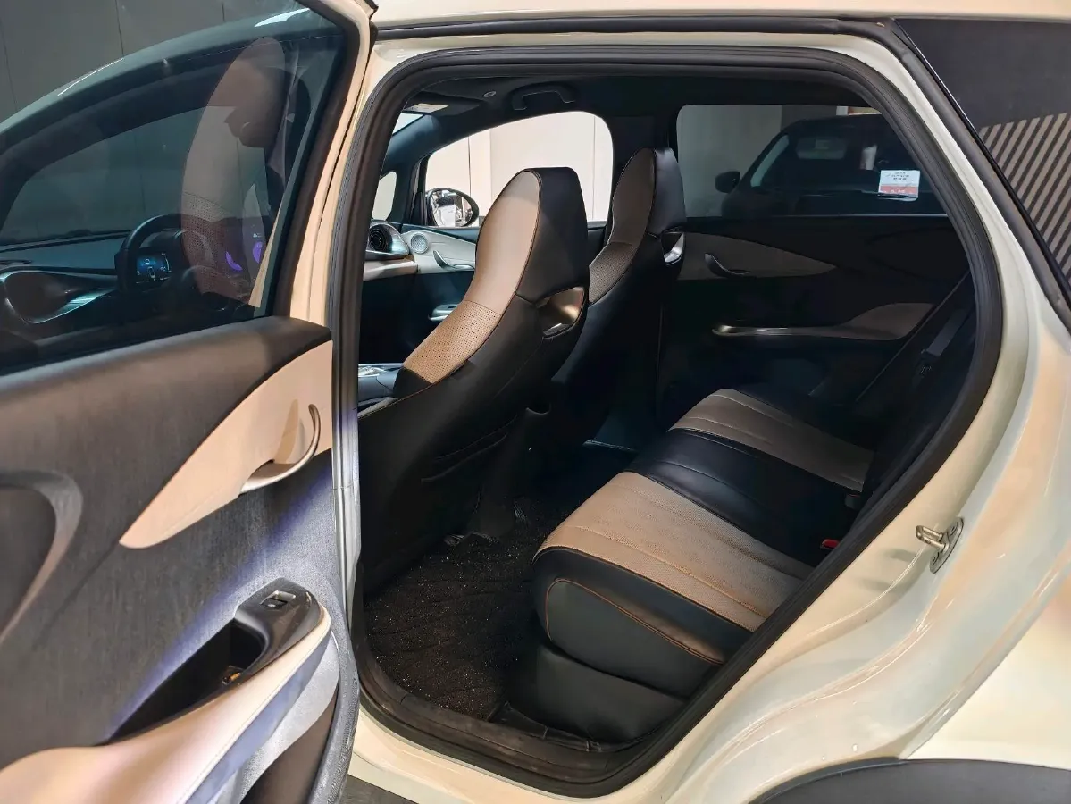 2023 BYD Dolphin BEV 44.928KWH,autocango,china used car exporter,china ev exporter,chinese used car exporter,chinese used ev exporter