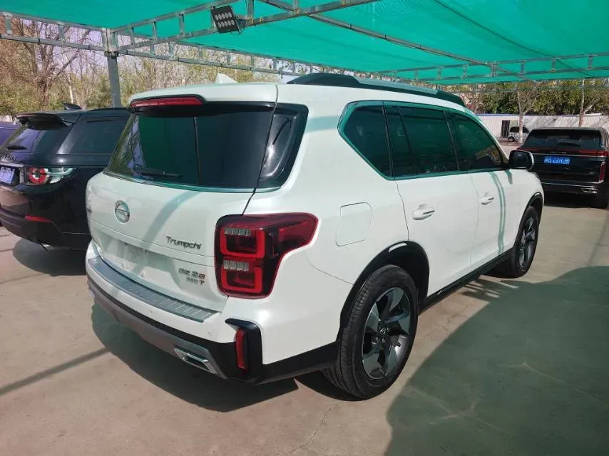 2020 GAC Trumpchi GS8 2.0T 252HP L4 6AT,autocango,china used car exporter,china ev exporter,chinese used car exporter,chinese used ev exporter