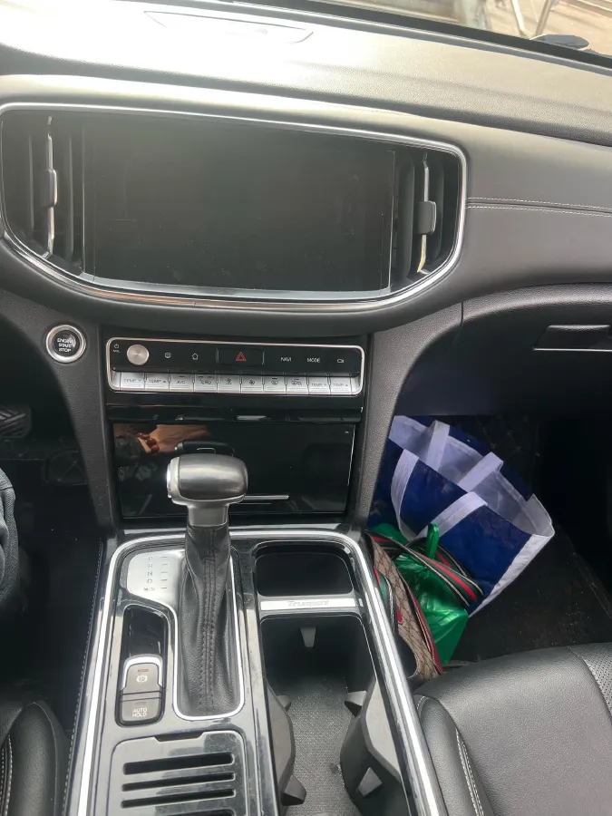 2020 GAC Trumpchi GS8 2.0T 252HP L4 6AT,autocango,china used car exporter,china ev exporter,chinese used car exporter,chinese used ev exporter