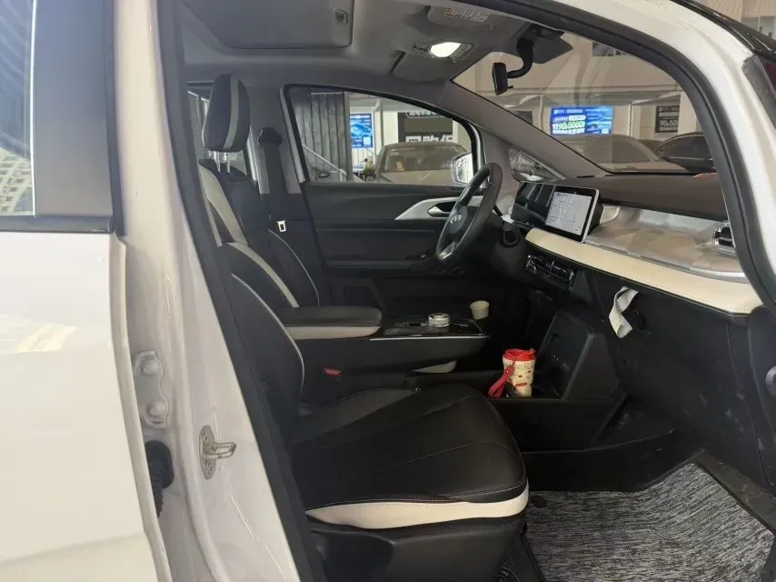 2023 Geometry E BEV 39.4KWH,autocango,china used car exporter,china ev exporter,chinese used car exporter,chinese used ev exporter