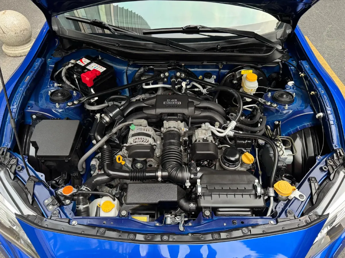 2019 Ford Focus 2.3T 280HP L4 6MT,autocango,china used car exporter,china ev exporter,chinese used car exporter,chinese used ev exporter