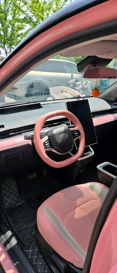 2021 Neta V BEV 31.18KWH,autocango,china used car exporter,china ev exporter,chinese used car exporter,chinese used ev exporter