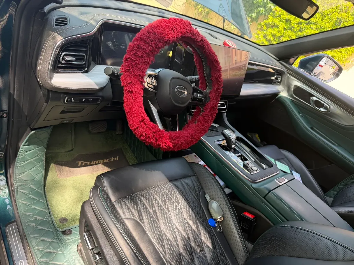 2022 GAC Trumpchi GS8 2.0T 252HP L4 8AT,autocango,china used car exporter,china ev exporter,chinese used car exporter,chinese used ev exporter