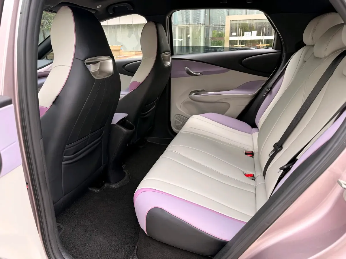 2021 BYD Yuan Pro BEV 50.1KWH,autocango,china used car exporter,china ev exporter,chinese used car exporter,chinese used ev exporter