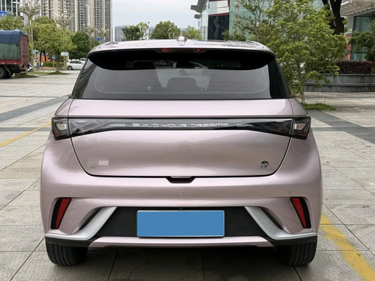 2021 BYD Yuan Pro BEV 50.1KWH,autocango,china used car exporter,china ev exporter,chinese used car exporter,chinese used ev exporter