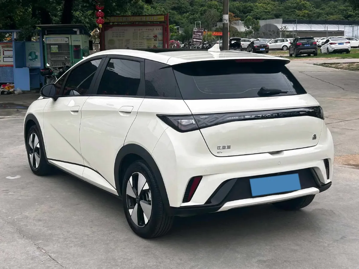 2023 BYD Dolphin BEV 44.928KWH,autocango,china used car exporter,china ev exporter,chinese used car exporter,chinese used ev exporter