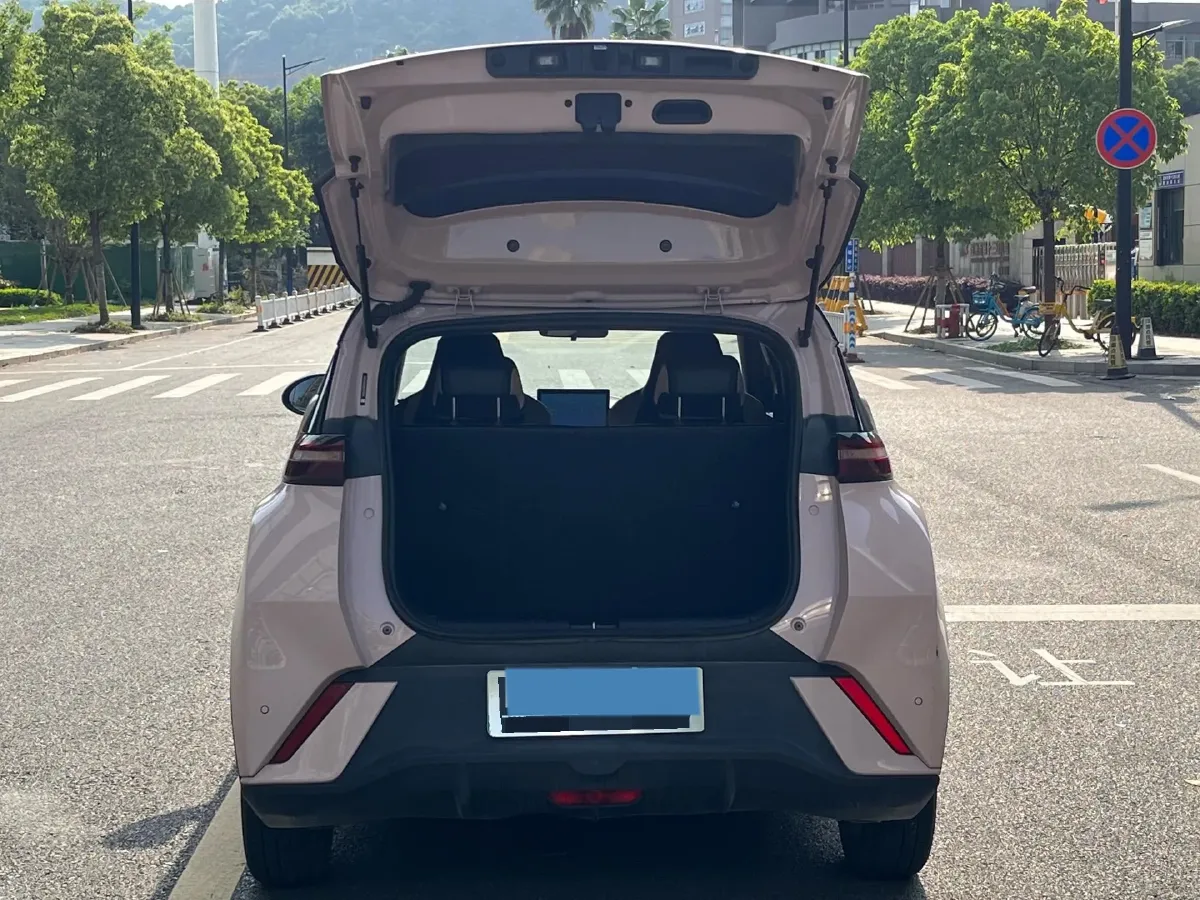 2023 BYD Seagull BEV 30.08KWH,autocango,china used car exporter,china ev exporter,chinese used car exporter,chinese used ev exporter