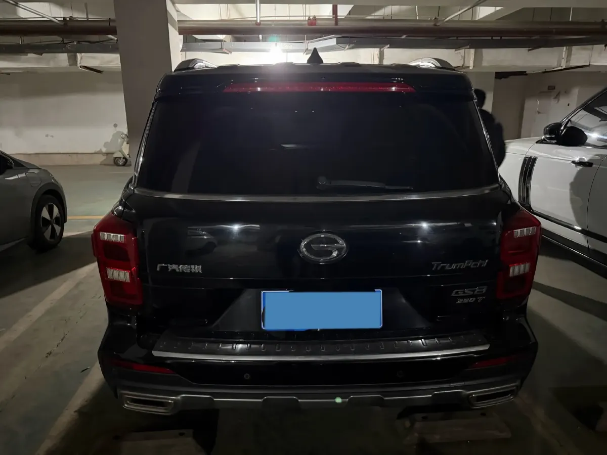 2020 GAC Trumpchi GS8 2.0T 252HP L4 6AT,autocango,china used car exporter,china ev exporter,chinese used car exporter,chinese used ev exporter