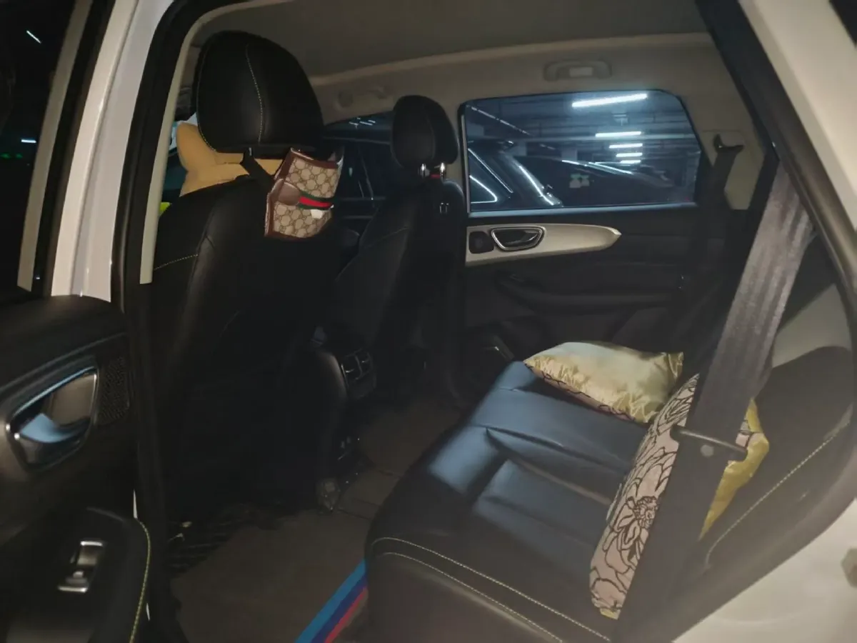 2020 Roewe RX5 1.5T 169HP L4 AMT PHEV 11.1KWH,autocango,china used car exporter,china ev exporter,chinese used car exporter,chinese used ev exporter