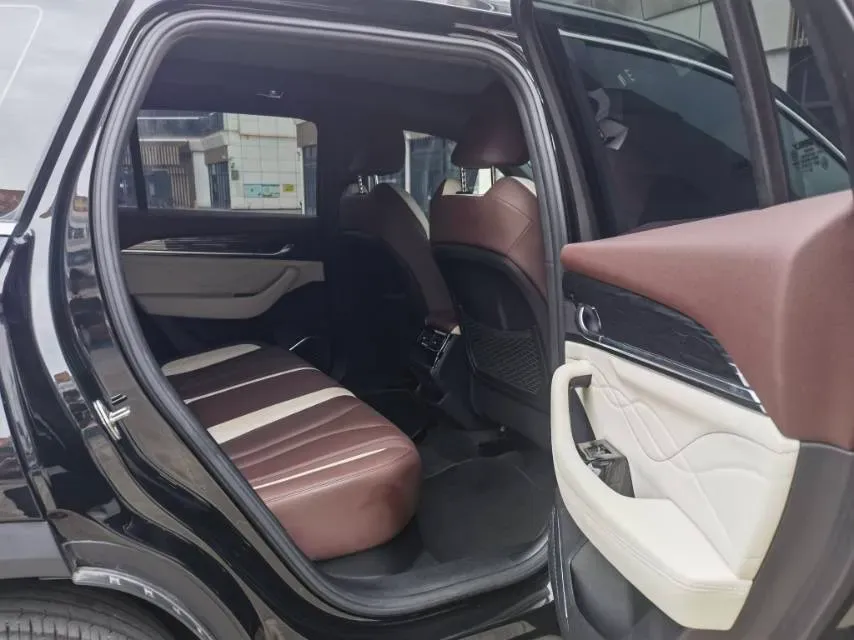 2024 Geely Monjaro 2.0T 238HP L4 8AT,autocango,china used car exporter,china ev exporter,chinese used car exporter,chinese used ev exporter